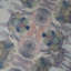 The Falls Fox Square Pillow Cover & Insert-1180890572