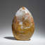 Polished Ocean Jasper from Madagascar (3.9 Lbs)