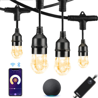 Guirlande de 36 lumières DEL Abbondanza de 18 pi pour l'intérieur (connectable de bout en bout)