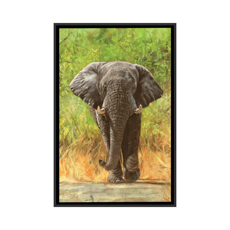African Elephant Staredown - Print on Canvas, Black Framed, 152.5 cm H x 101.5 cm W