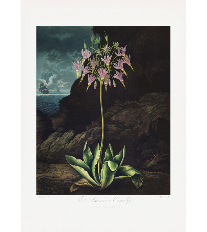 Wrapped Canvas Print, 91.44 cm H x 60.96 cm W