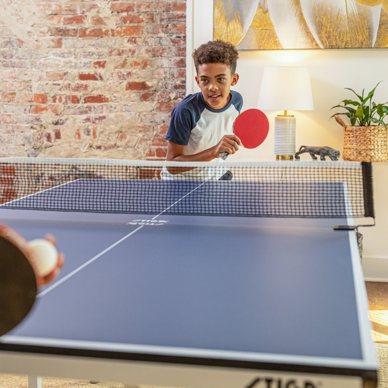 Compact Blue Folding Table Tennis Table with Net Included