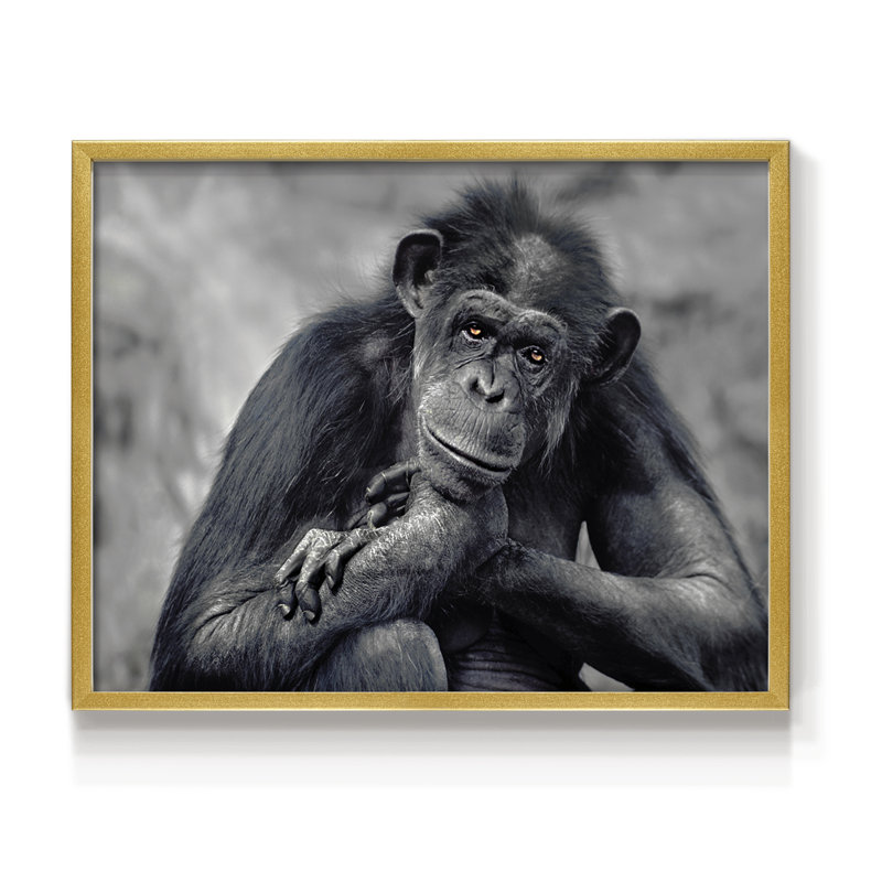 Captivated -Framed Print - Restickable, 8" H x 10" W, Gold