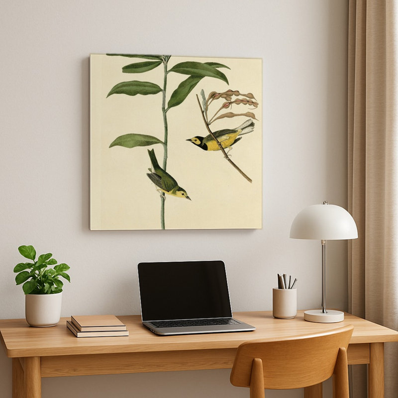 Fauvette à capuchon, Plaque CX — Décoration murale carrée en métal, 8" H x 8" W