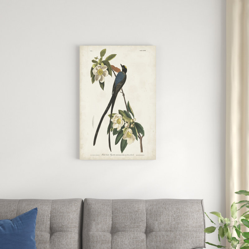 Mésange à fourche PL 168, H 30 po x l 20 po