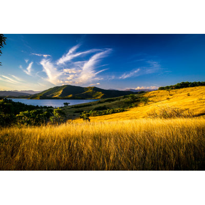 Explosion In The Sky by Stefan Pechou - Wrapped Canvas Print