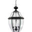 Lanterne suspendue d'extérieur 4 lumières Newbury-697481948