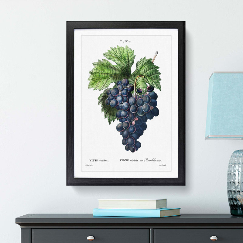 Blue Grapes by Pierre-Joseph Redoute - Framed Print, 36cm H x 27cm W x 2cm D, Black Framed