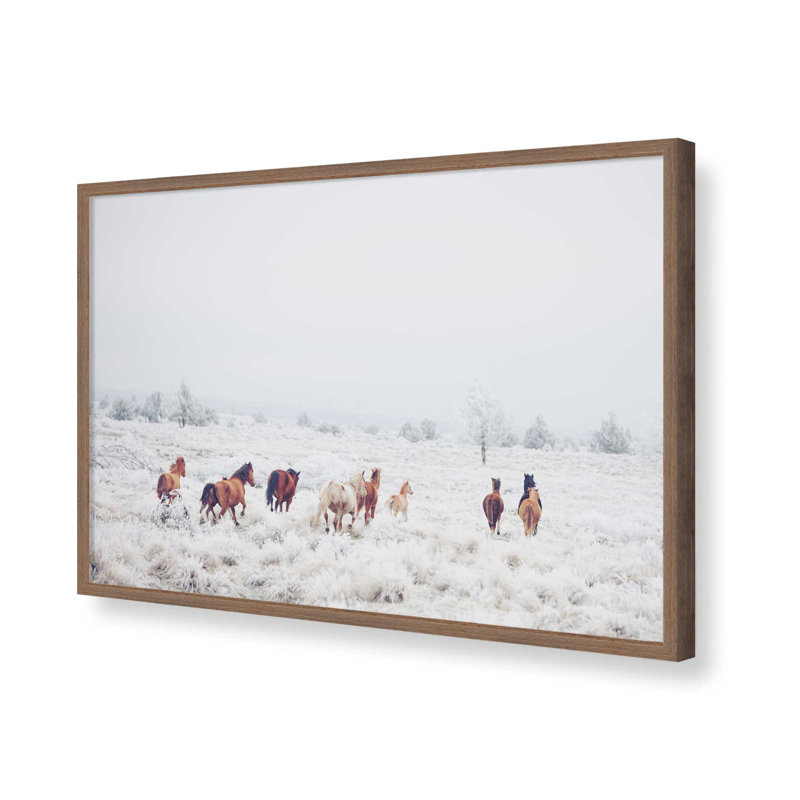 «Winter Horses» par Garima Dhawan, reproduction d'art, 12" H x 16" W, Brown