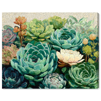 "Echeveria Bloom I", reproduction d'art sur toile par Art Remedy, 30 x 24