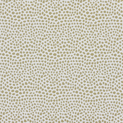Fibi Goldenrod Rr