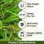 Brontie 30mm Kids & Pet-Friendly Artificial Grass For Patio-2m(6'6") X 2m(6'6")-4m²