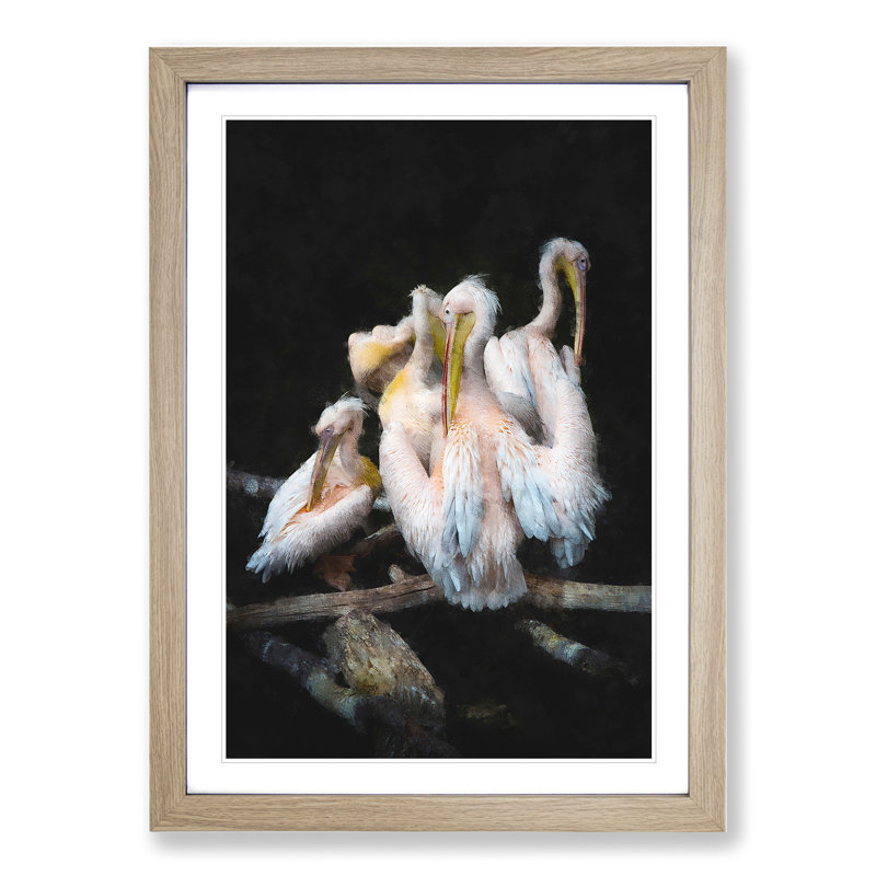 Pelicans - Framed Print, 36cm H x 27cm W x 2cm D, Oak Framed
