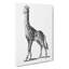 Giraffe In Black & White by George Shaw - Wrapped Canvas Print-55304567