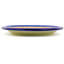 Stoneware Dinner Plate