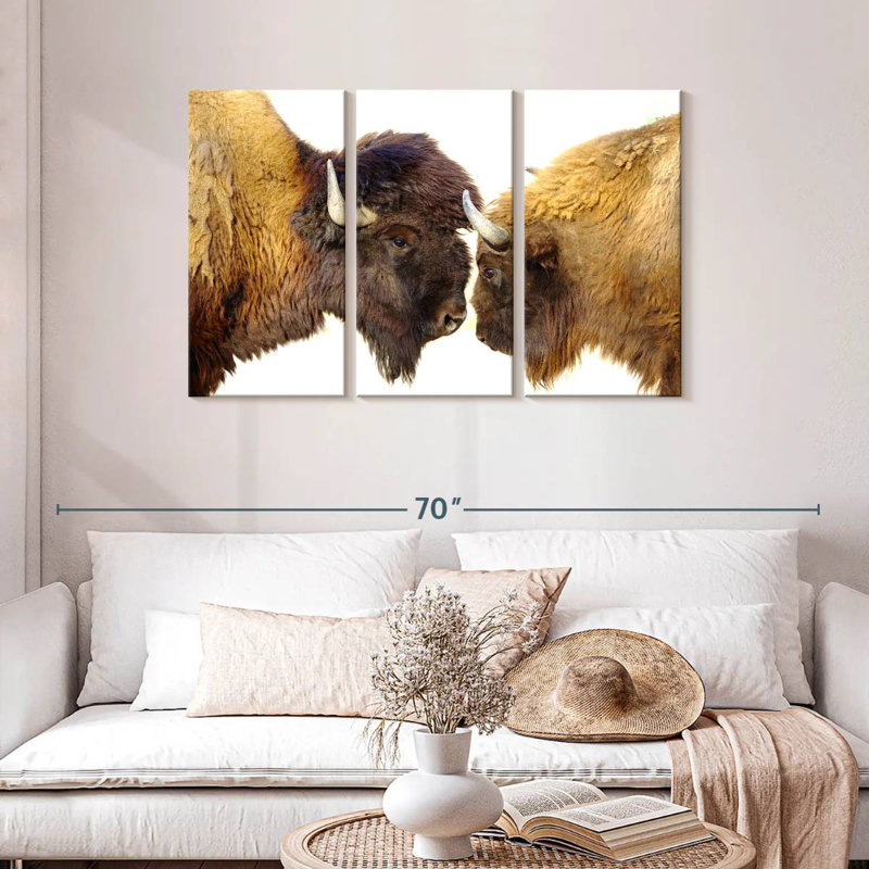 Bramison Bisons I, H 28 po x l 45 po