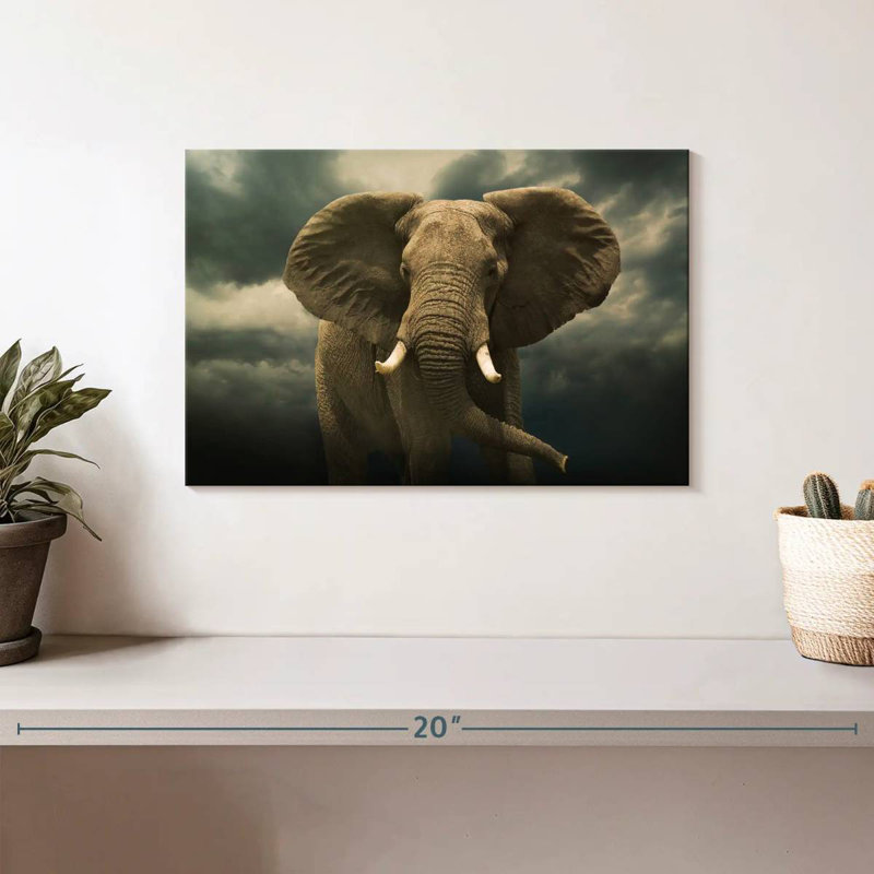 Éléphant mâle Brampt, H 8 po x l 12 po