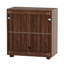 Armoire de rangement à poignée ajustable avec poignée dorée Accent-127888028