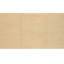 Hand Knotted Area Rug in Ivory