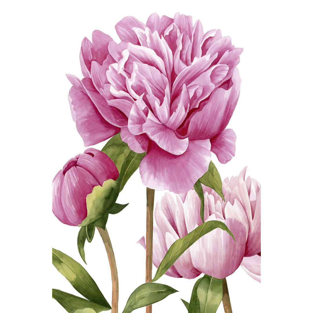 Leinwandbild Winsome Peonies II