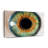 " Green Eye "-1126505214
