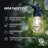 Ambience Pro 48 ft. Solar Outdoor Patio LED String Lights with 15 Warm White S14 Edison Bulbs, Weatherproof