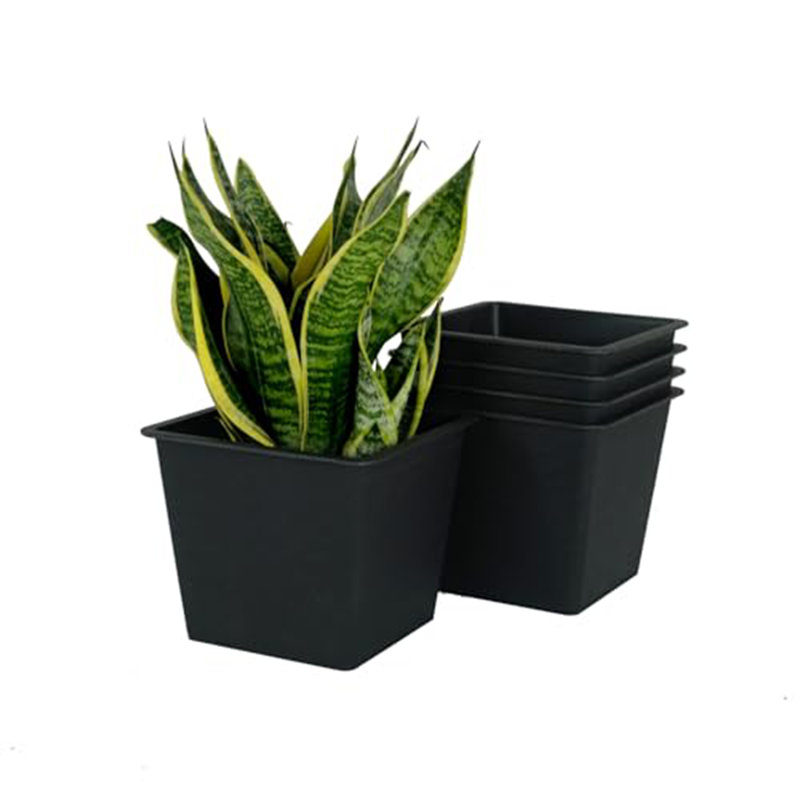 6.3" Square Nursery Plant Pot - Garden Plastic Pots With Drainage (5-Pack), 5.5" H x 6.3" W x 6.3" D