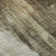 Premium Machine Washable Cerrito AMF567 Chocolate 1'8" x 2'6" Rug