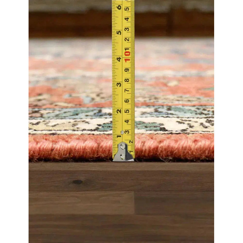 Oriental Area Rug in Rust, Rectangle 8'10" x 12'