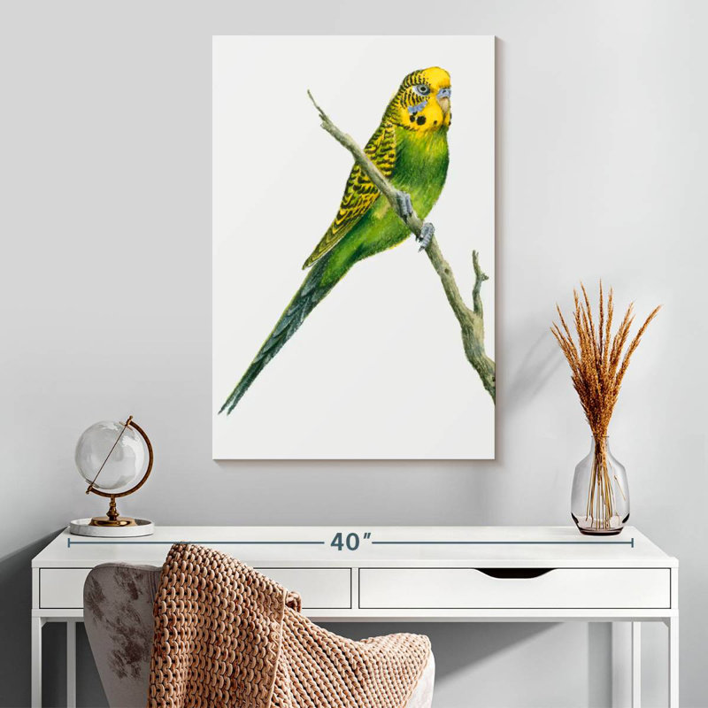 Brampt Perched Budgerigar, 30" H x 20" W