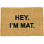 Indoor Doormat
