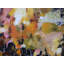 Opus Print by Elizabeth Chapman-65853079-65828635