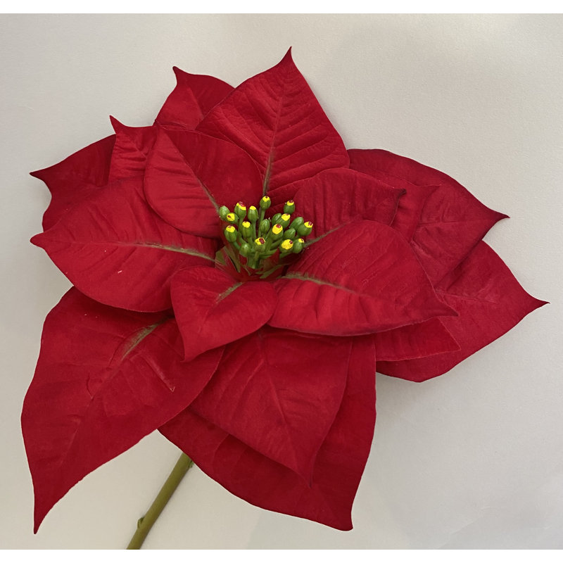 Tige de poinsettia veloutée, 30" H x 5" W