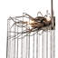 Lustre long Aranha de 48 po Ednamae