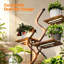 Plant Stand