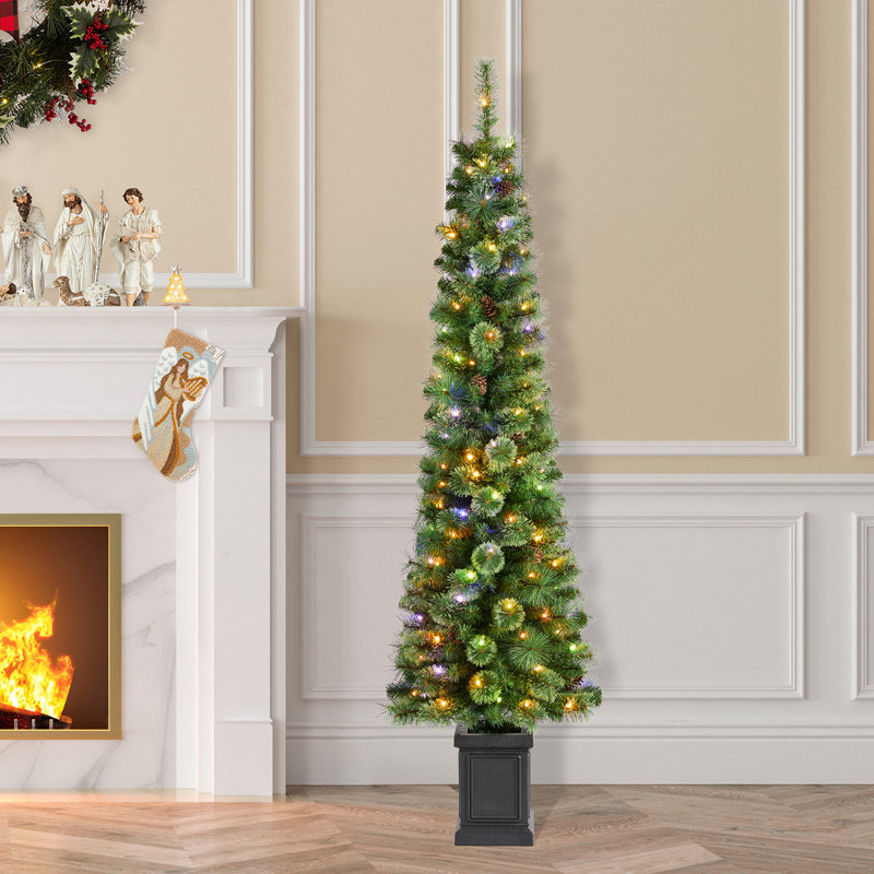 Arbre de Noël pré-éclairé pin vert avec lumières cachemire, 6'