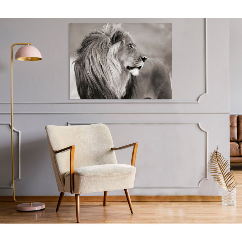 Male Lion, Namibia by Anonymous - Wrapped Canvas Print, 70cm H x 100cm W x 4cm D