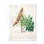 «Vintage Botanicals» - Peinture sur toile-59815097-59815098