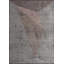 Rapture Abstract Area Rug-1654377312