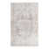 Audres Oriental Gray/Ivory Area Rug