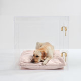 Medium Clear View Pet Crate with Silver Latch, Khaki Cushion