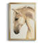 Golden Palomino II - reproduction de cadre photo simple-77237064-77237065