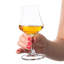 Verres à rhum bohémien en cristal