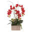 Real Touch Red Phalaenopsis Orchids, Succulents And Curly Willow Flower Arrangement In Square Gold Etched Ceramic Pot