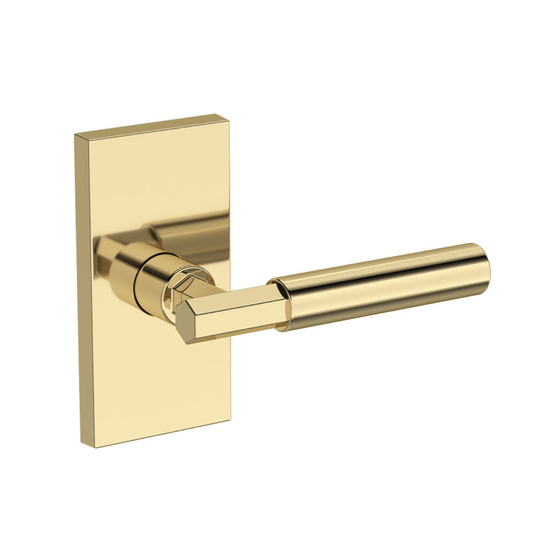 Riddling Full Dummy Lever with Contemporary 5in Rose in Lifetime (PVD) Polished Nickel, Unlacquered Brass