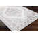 Brier Oriental Indoor Rug