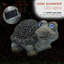Statue de tortue solaire Balboa