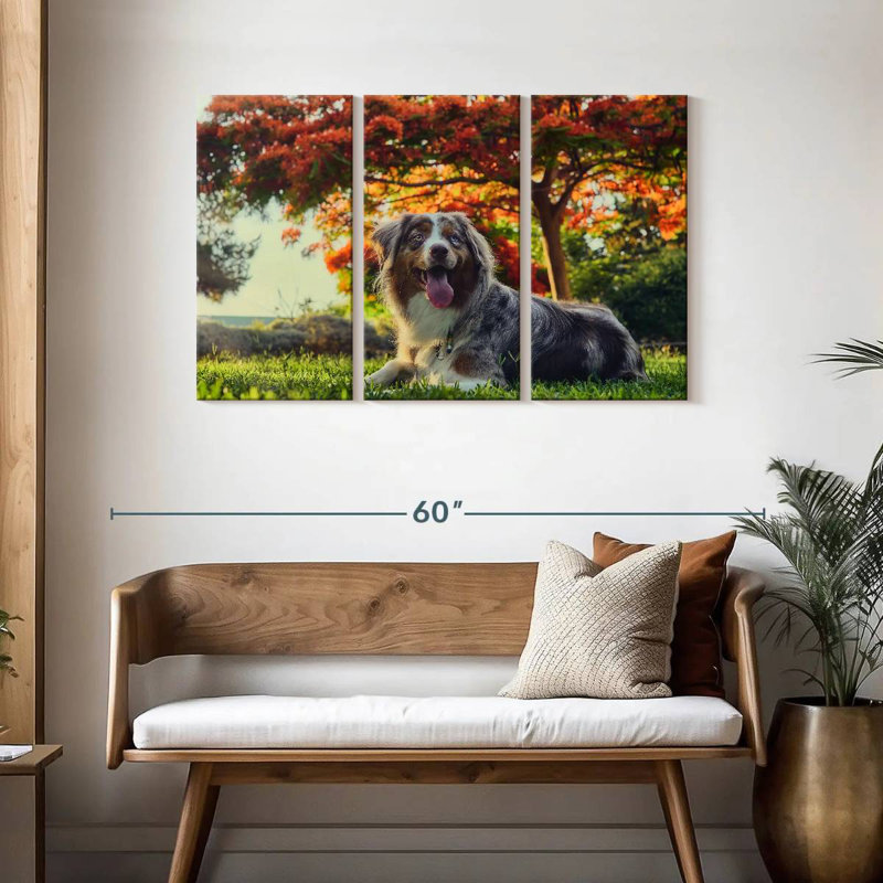Brampt Cherry Border Collie, 32" H x 50" W