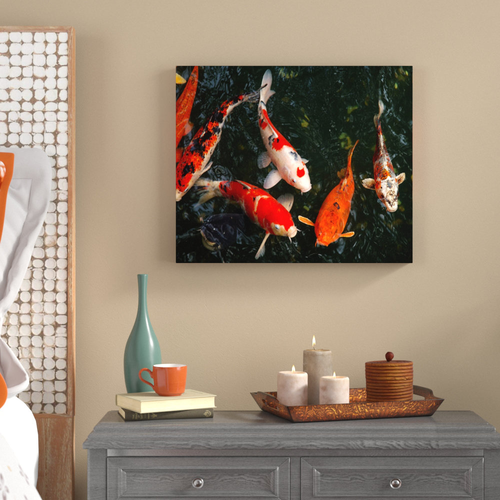 Skidmore " Koi Carp " World Menagerie 