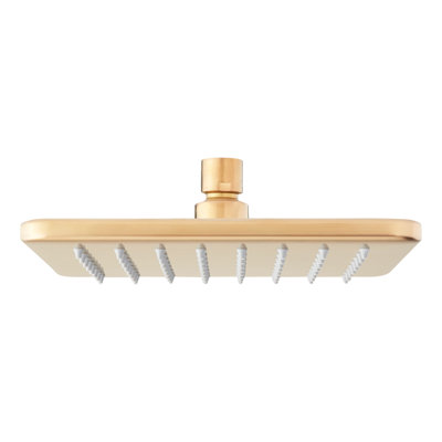 Berwyn Rainfall Shower Head - Brushed Gold